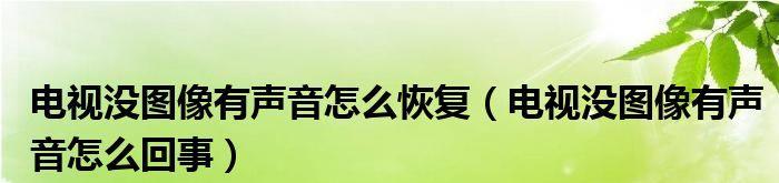 解决电视有图像无声音问题的方法（如何修复电视图像有声音没有的情况？）