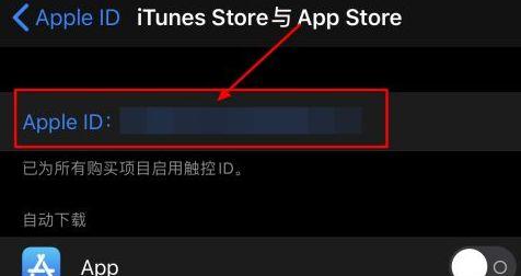 如何安全退出AppStore账号（一步步教你保护个人信息）