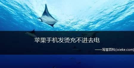 苹果手机充不进去电，电池问题大揭秘（探究苹果手机充电异常的原因和解决方法）