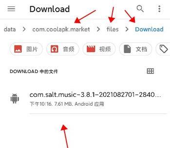 安卓APK安装包下载办法大全（探索安卓APK安装包下载的方式与技巧）