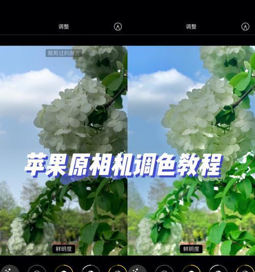 掌握iPhone相机参数设置，轻松拍摄高质量照片（解析iPhone相机设置的技巧与窍门，助你成为摄影大师）