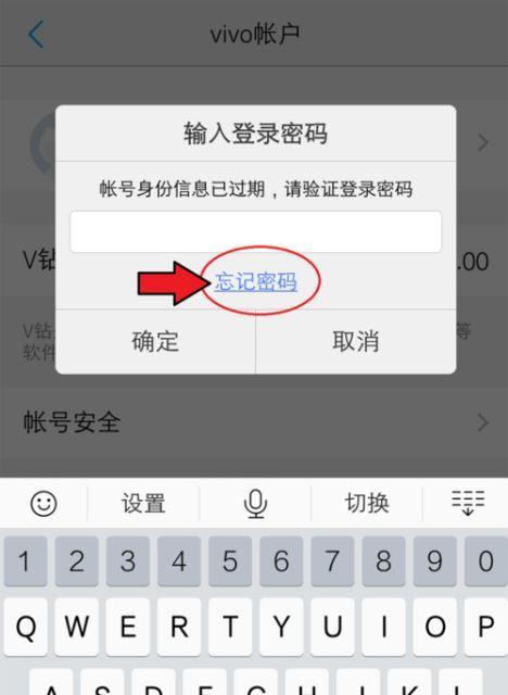 忘记vivo手机密码？快速清除账户锁的方法（解决vivo手机密码忘记问题，轻松清除账户锁）