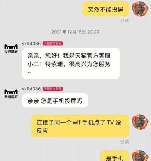 自制投影仪打假（用自制投影仪揭示商品真假的方法和步骤）