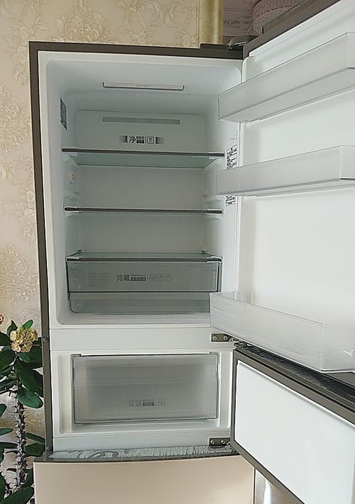 解决海尔冰箱排水孔堵塞的方法（轻松清理冰箱排水孔）