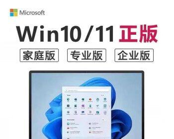 win7旗舰版和专业版的区别哪个好（专业版与旗舰版不同之处）