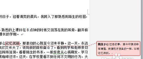 word看不到批注怎么办（教你查看别人的批注并添加注释）