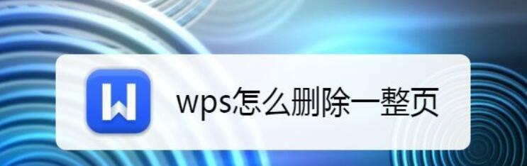 wps基础知识入门手机版（手机上的wps新手教程）