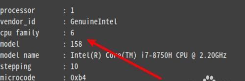 详解如何使用Linux查看CPU信息（使用Linux命令获取CPU详细信息的方法与技巧）