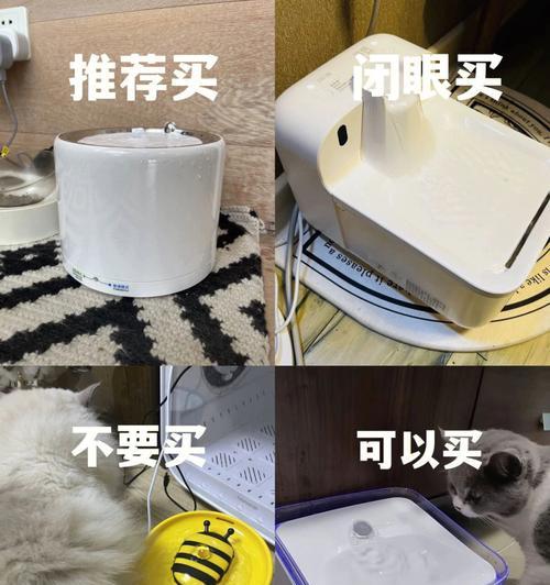 猫咪饮水机中的水处理方法（保证猫咪饮用水的安全与健康）