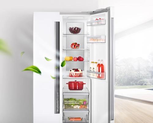 冰箱冰柜除冰方法大揭秘（简单易行的除冰技巧助你轻松应对冷藏设备结冰问题）
