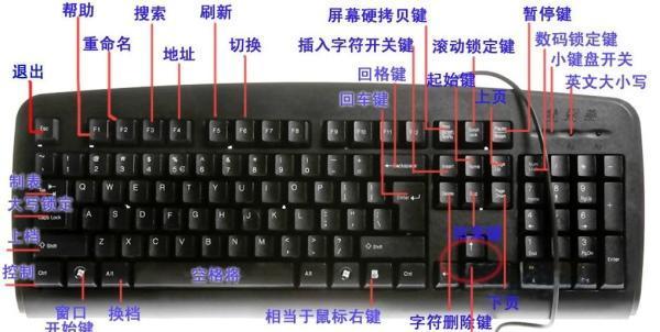 快速学会电脑基础知识的方法与技巧（助你迅速掌握电脑基础知识的实用指南）