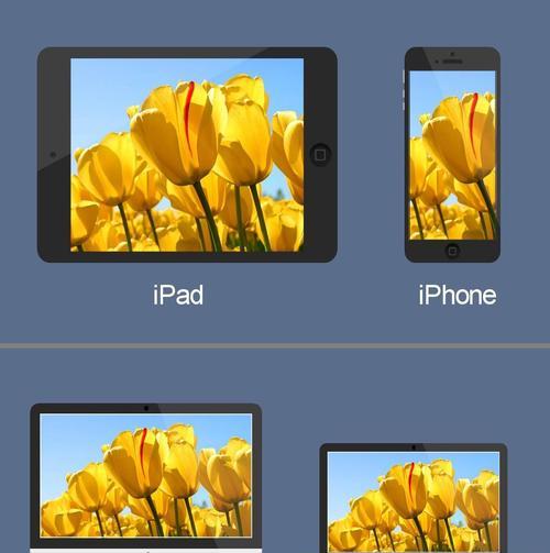 苹果iPad各个型号的优缺点剖析（了解苹果iPad的不同型号）