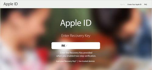 如何使用iPhone注册AppleID（详细教程带你一步步完成AppleID的注册）