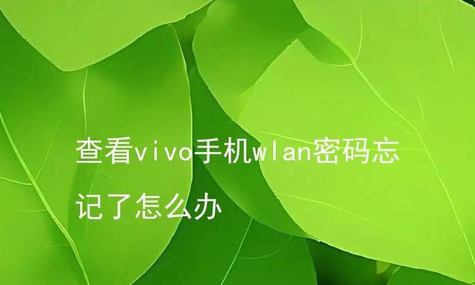 vivo手机忘记锁屏密码怎么办（忘记锁屏密码？别担心）