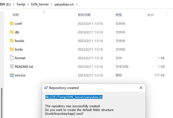 SVN版本控制的正确使用方法是什么？