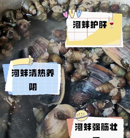 外壳厚有疙瘩的河蚌能吃吗？吃后会有什么影响？